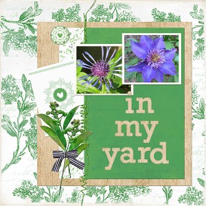 May2017 Inspiration Chal_web
