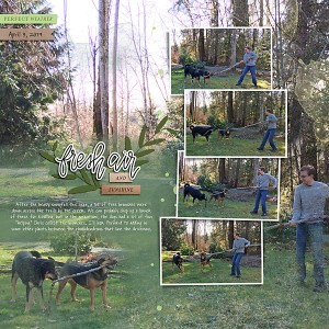 20170403_Yard-clean-up