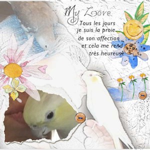 Lola mon amour