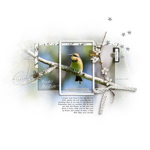 No. 100 bird species