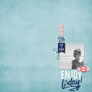 EnjoyToday2017Web