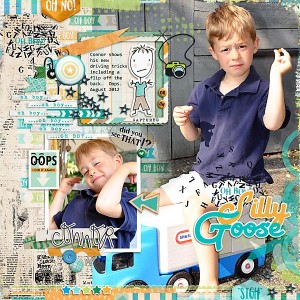 2012 Silly Goose
