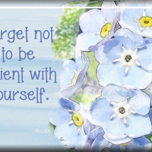 ATC-2017-78-Forget-Not (May Monthly Muse Wk 3)