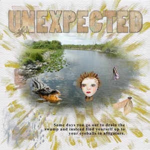 May2017_Unexpected_web