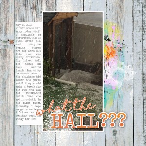 Dpd-whatthehailweb