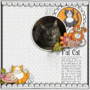 Fat Cat