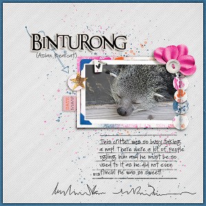 Binturong (MayBYOCchall)