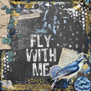 Fly-with-me