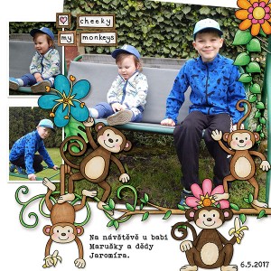 I ♥ my little monkeys!