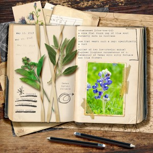 17MAY_CHALLENGE 3_INSPIRATION_LONDONCUPPA