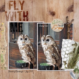 15jul01_owl01