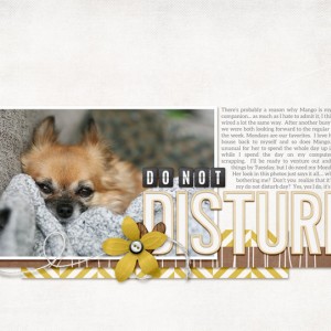 Do not disturb