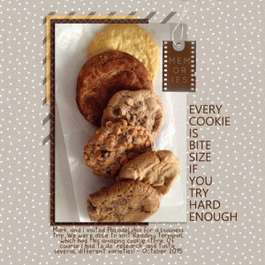 Michele-cookies-web