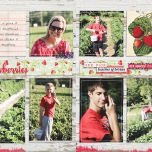 Strawberry Pickin 2017