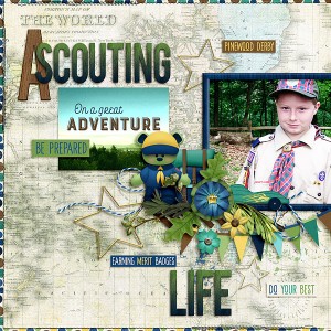 A Scouting Life