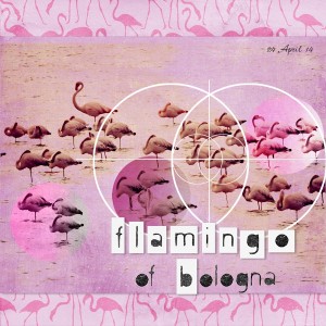 14apr24_flamingo01