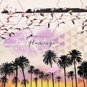 14apr24_flamingo02