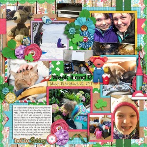 2017 Week 11-12