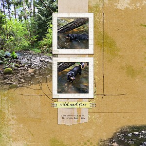 20170527_Loki in our creek