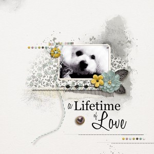A  Lifetime Of Love