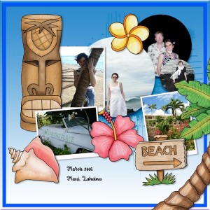 06mar_hawaii02