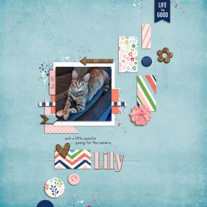 Lily