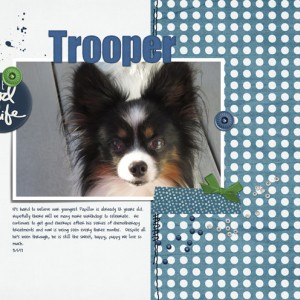 Trooper---The-Good-Life