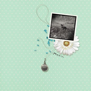 Poppie Simple
