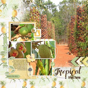 Fruit Farm