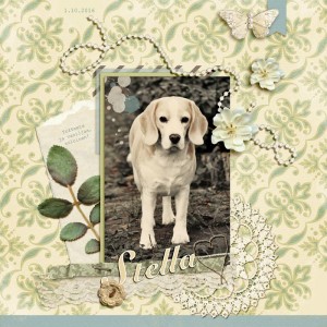 Stella