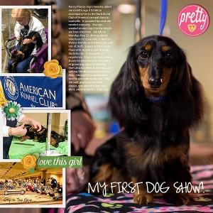 Dachshund Club of America 2017 Show Page 1
