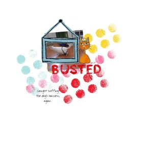 Busted Again