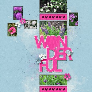 20170531_Wonderful flowers