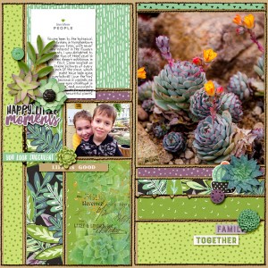 succulents
