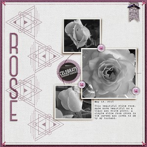 The Rose