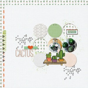 Cactus