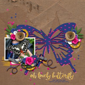 Butterfly