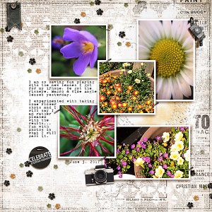 "Holy Macro!!" (june journal challenge)
