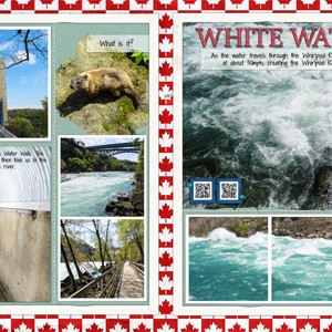 Niagara Falls Day2 - White Water Walk