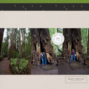 MuirWoods2015JUne2017SCLeft