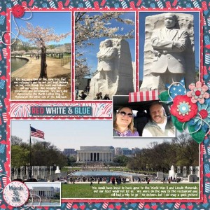 SWL MIS JUNE 2017