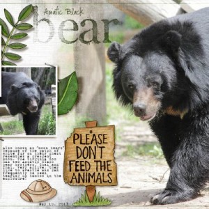 Asiatic Black Bear (June Style Challenge)