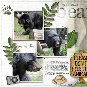 Asiatic Black Bear (junestylechalllt)