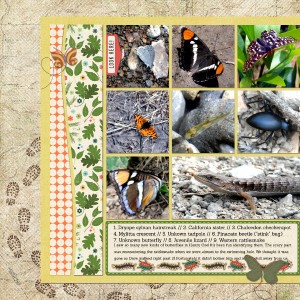 Critters in Coe (L)