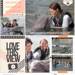 Dolphin-Quest1