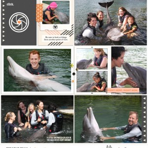 Dolphin-Quest2