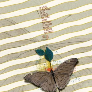Butterfly