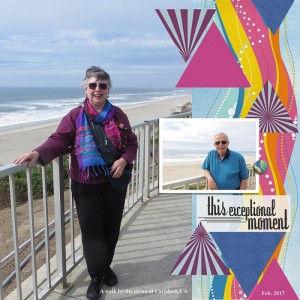June2017 Sahlin Chall_web