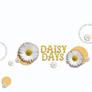 Daisy Days