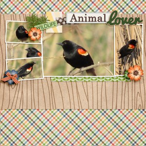 Animal Lover - June Template Challenge